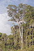 Canoe journey down the rivers of the Madre de Dios department in the Manu reserve 